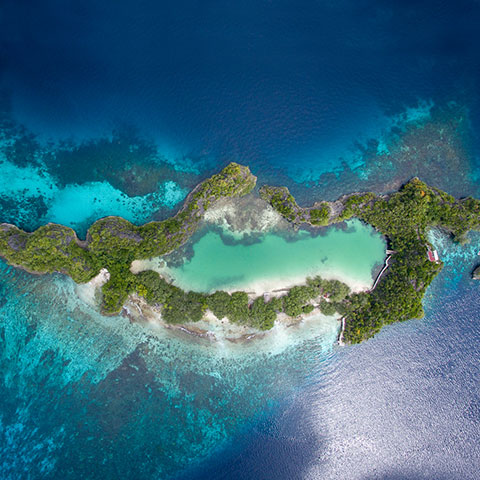 Snorkeling Liveaboard Raja Ampat