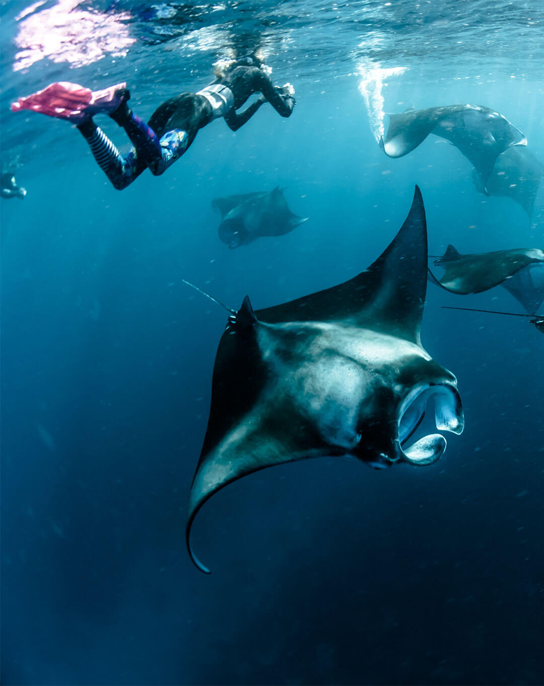 Snorkeling Boat Komodo 3 Nights