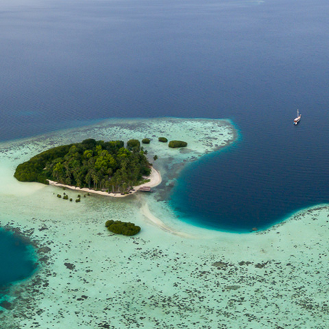 Untouched Islands