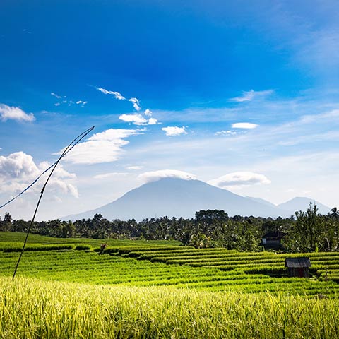 Viewpoints in Bali