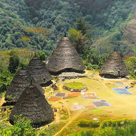 Wae Rebo Authentic Village