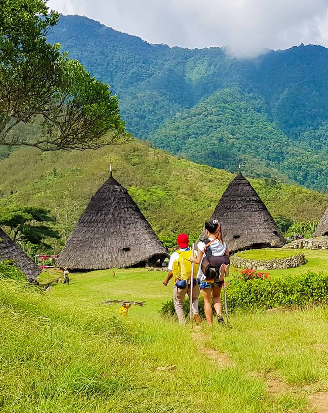 Wae Rebo Village Flores